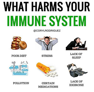 Preparation and Pet Pointers. What can harm your Immune System